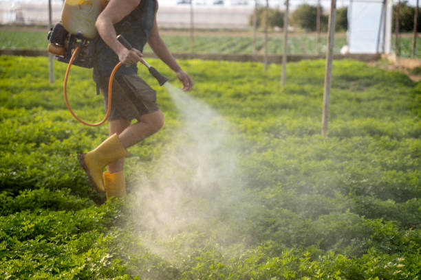 Best Pest Removal Services  in Towamensing Trails, PA