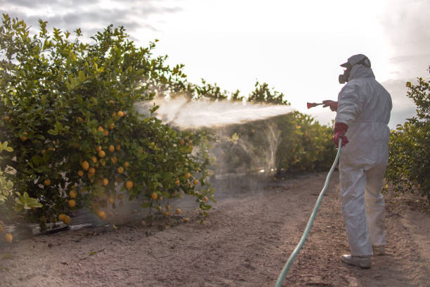 Pest Control for Restaurants in Towamensing Trails, PA
