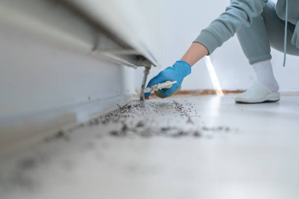 Best Pest Removal Services  in Towamensing Trails, PA