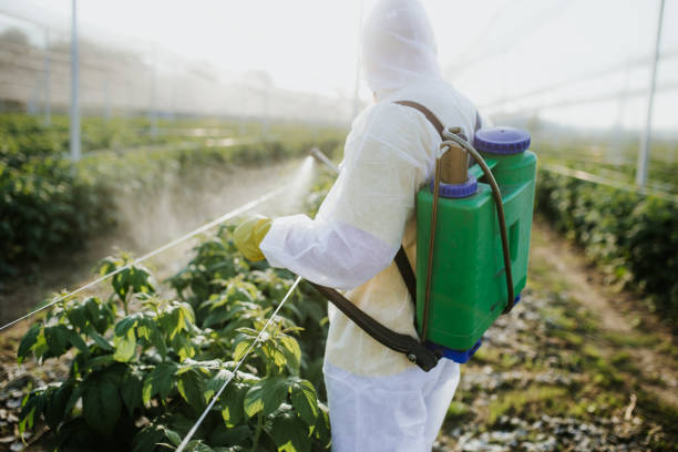 Best Commercial Pest Control Services  in Towamensing Trails, PA
